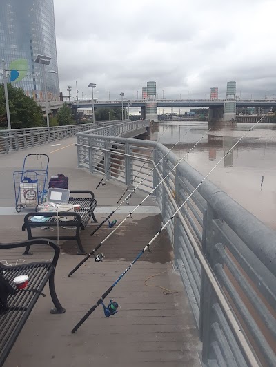 Ace Adams Field photo 4