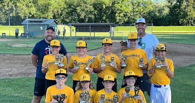 Allisonville Youth Baseball and Softball photo 4