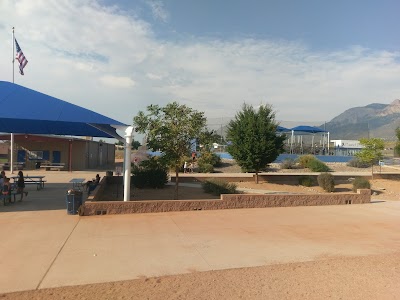 Altamont Little League photo 5