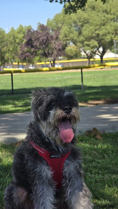 Alyce Norman Softball Fields photo 3