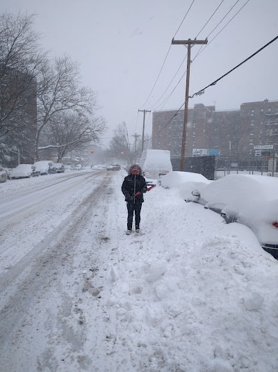 Amity Little League Stadium photo 4