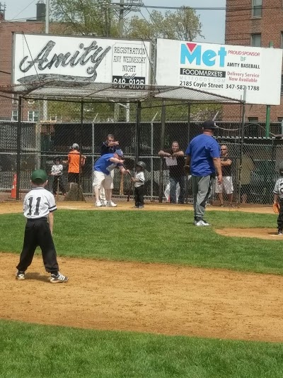 Amity Little League Stadium photo 5