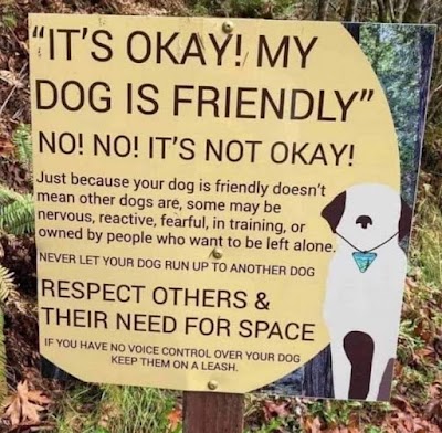 Anaheim city park - ball fields photo 4