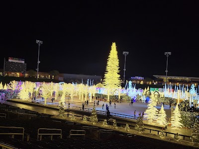 Arizona Diamondbacks Practice Fields photo 2