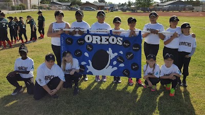 Arizona Girls Softball (League) photo 2