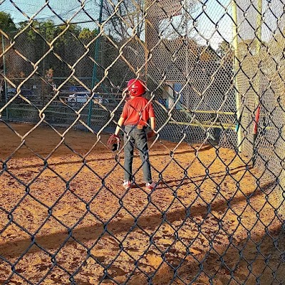 Arlington Little League photo 2