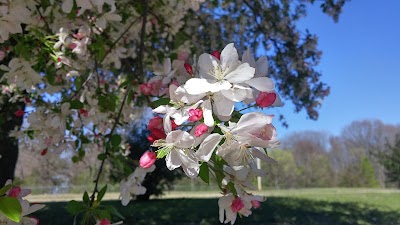 Arlington Sports Complex photo 4