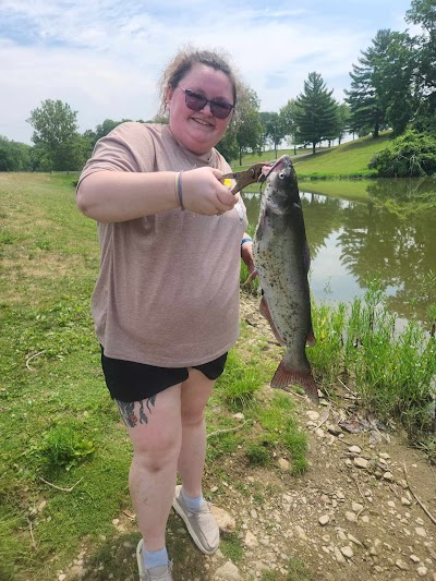 Armco park softball fields photo 3