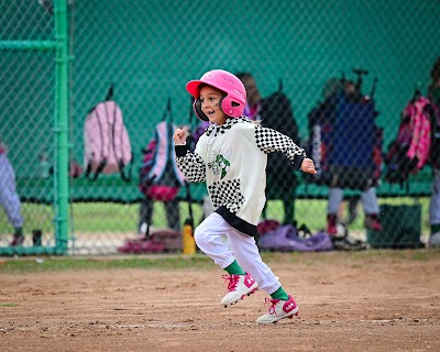 Azle Baseball & Softball Association, Inc. photo 3