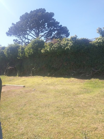 Balboa Park - Sweeney Field photo 5