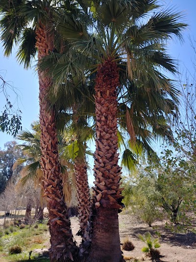 Baseball Field at Papago Park photo 2