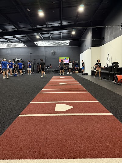 Baseball Paradise photo 4