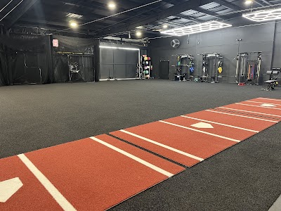 Baseball Paradise photo 5