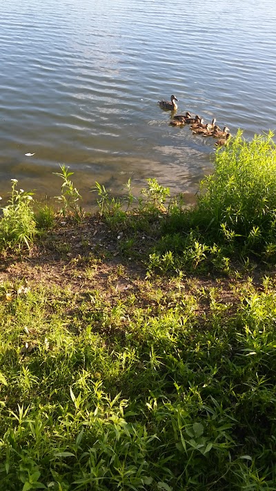 Baseball Park photo 4