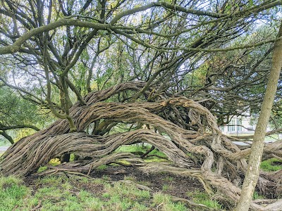 Beach Chalet Athletic Fields photo 5