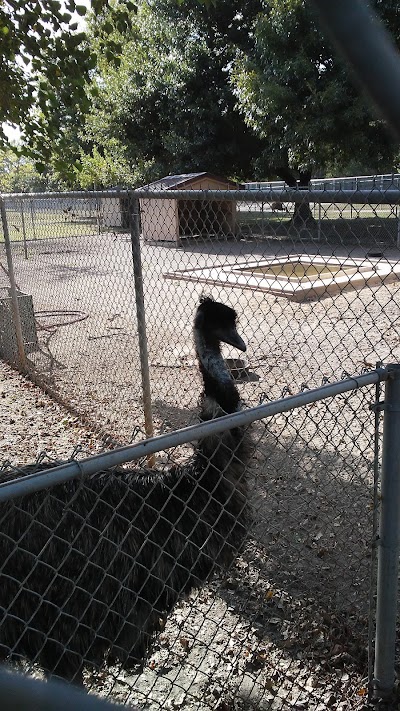 Bear Creek Little League photo 4