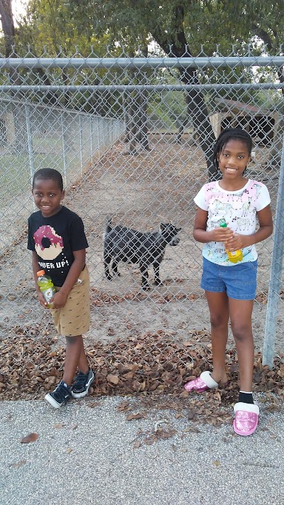 Bear Creek Little League photo 5