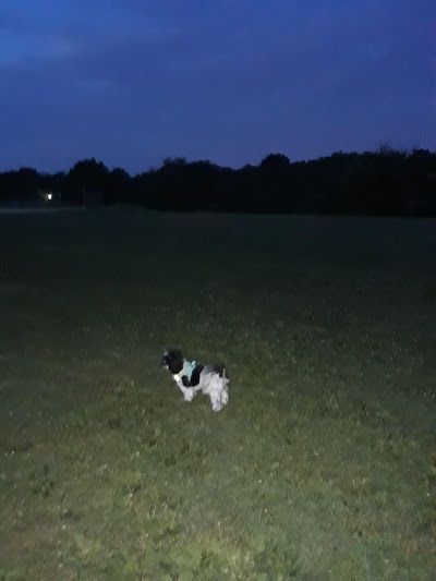 Belmont Plateau Softball Fields photo 4