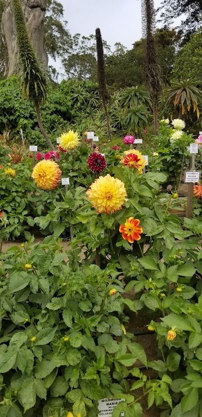 Big Rec Ball Field photo 3