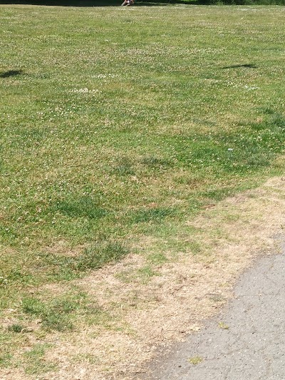 Big Rec Ball Field photo 4