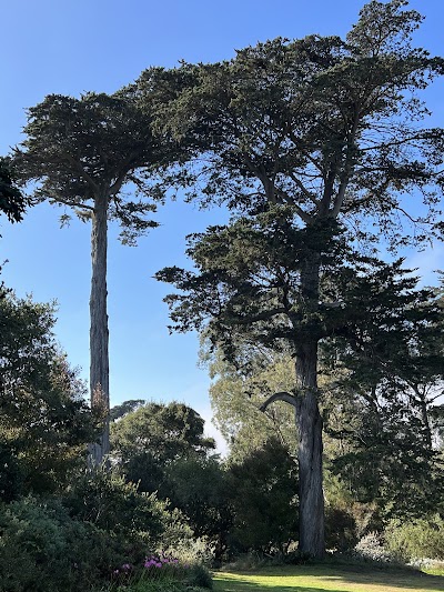 Big Rec - Nealon Diamond photo 2