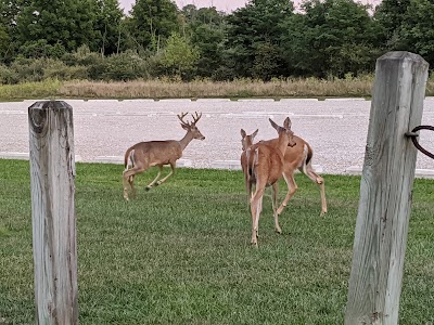 Big Run Athletic Complex photo 2