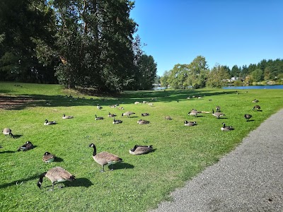 Bitter Lake Playfield photo 5