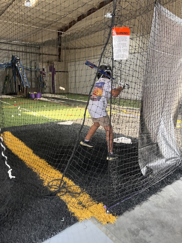 Blueberry Batting Cages