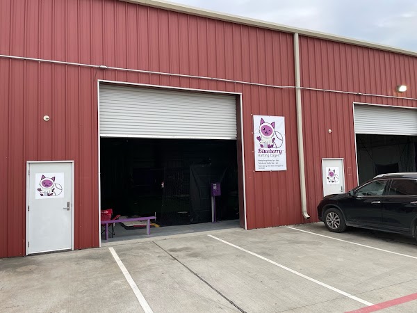 Blueberry Batting Cages photo 2