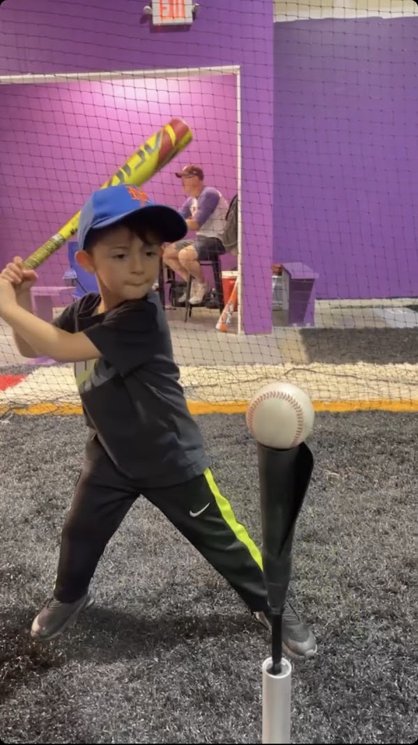 Blueberry Batting Cages photo 5