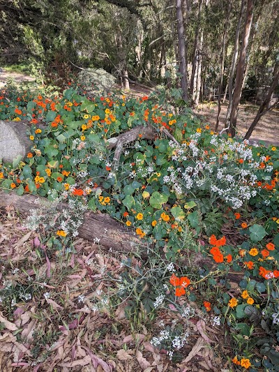 Bob Cheney Field photo 5