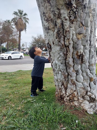 Bobby Bonds Soccer Field photo 4
