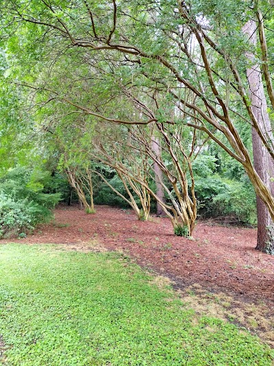 Brentwood Park and Neighborhood Center photo 5