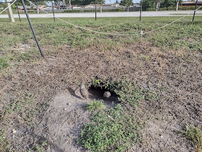 Brian Piccolo Sports Park & Velodrome photo 3