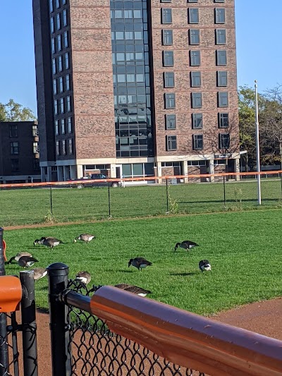 Buffalo State Softball Field photo 2