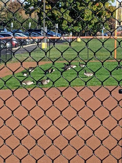 Buffalo State Softball Field photo 3