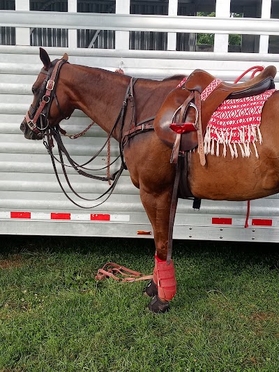 Bullitt Fields photo 3