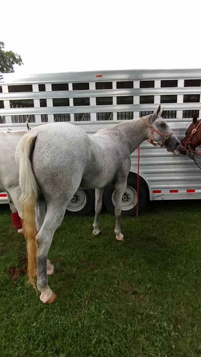 Bullitt Fields photo 4