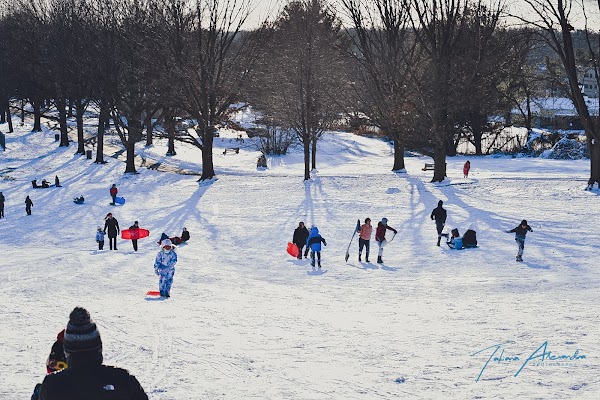 Burholme Park photo 5