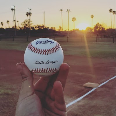 Cactus Wren Little League photo 4