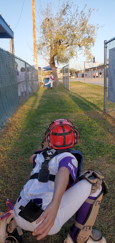Cactus Wren Little League photo 5