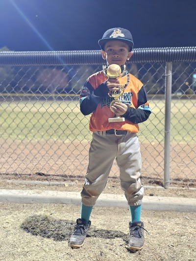 Cactus Youth Baseball League