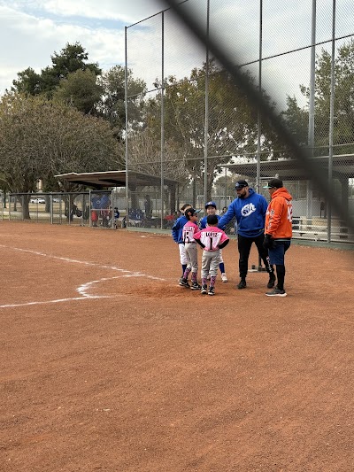 Cactus Youth Baseball League photo 2