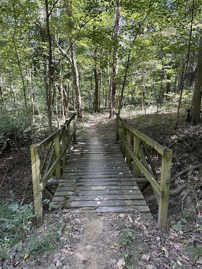 Cane Ridge Ball Park photo 2