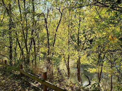 Carrington Field photo 4