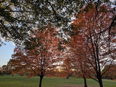 Cazenovia Park photo 5