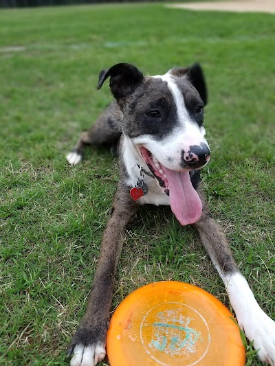 Cedar Hills Baseball Field photo 3