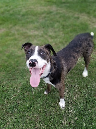 Cedar Hills Baseball Field photo 5