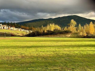 Central Park Fields photo 4
