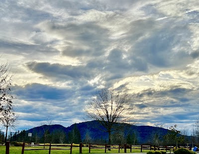 Central Park Fields photo 5